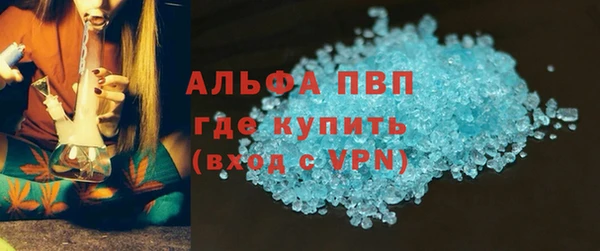 сатива Богородск