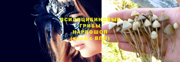 метамфетамин Богданович