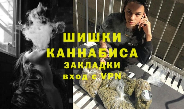 дживик Богородицк