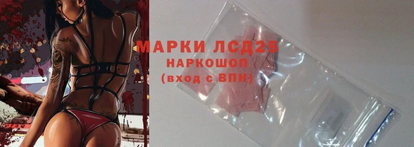 сатива Богородск