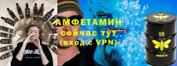 дживик Богородицк