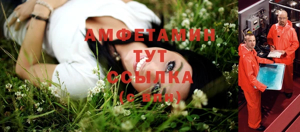 дживик Богородицк