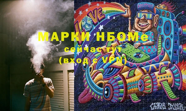 дживик Богородицк