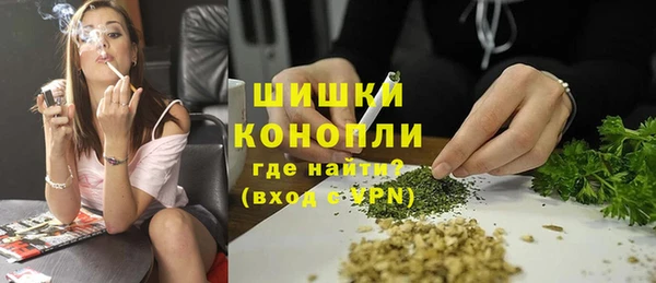 сатива Богородск
