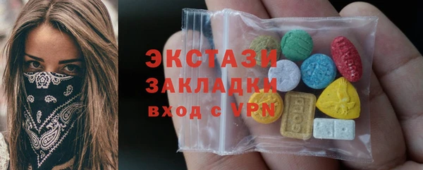 дживик Богородицк