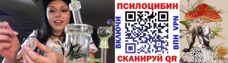 хочу наркоту  Казань  Галлюциногенные грибы Cubensis 