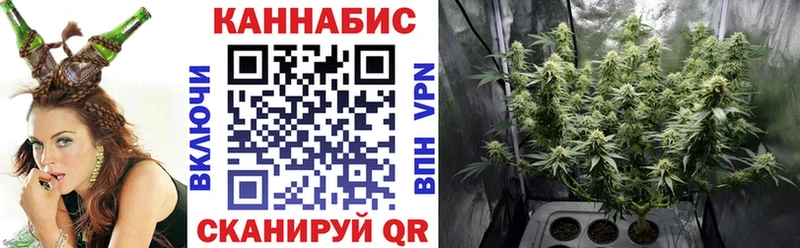 Шишки марихуана семена  даркнет сайт  Казань 